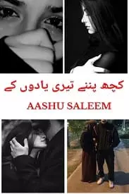 Kuch Panne Teri Yadoon Kai by Aashu Saleem Free PDF Download & Read Online
